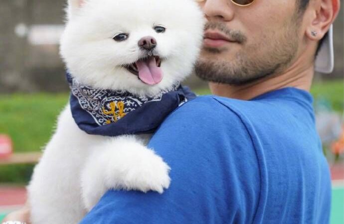 高以翔愛犬離世!生前為毛孩開專屬帳號…二哥悼:去找爸爸爺爺吧 高以翔愛犬離世!生前為毛孩開專屬帳號…二哥悼:去找爸爸爺爺吧