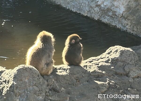 哥哥現身說法！Panchi找到「4位守護者」　變不黏才是真成長